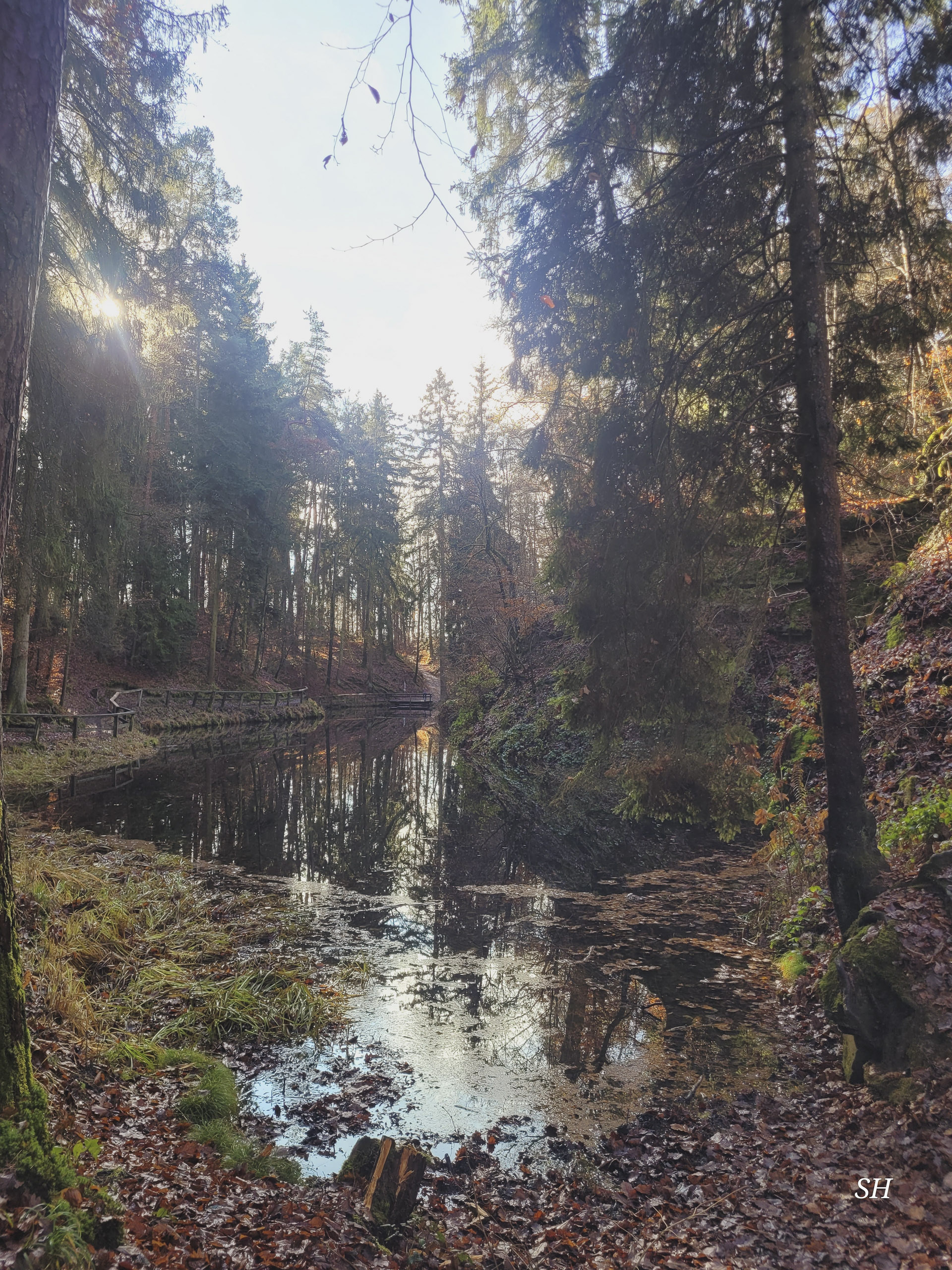 20251129120817 20251129 120817